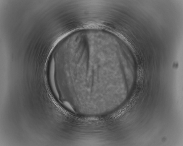 X0000094810838200712141620