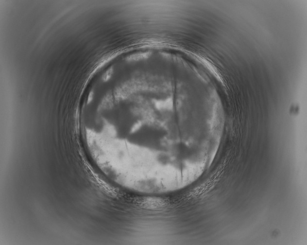 X0000094810839200712141620