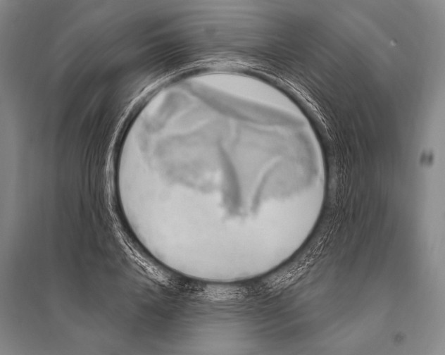 X0000094810840200712141620