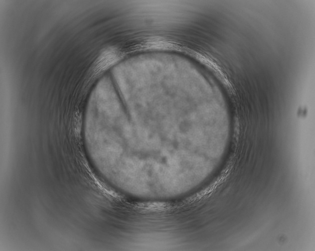 X0000094810841200712141620