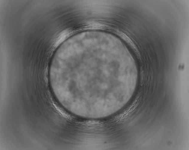 X0000094810842200712141620