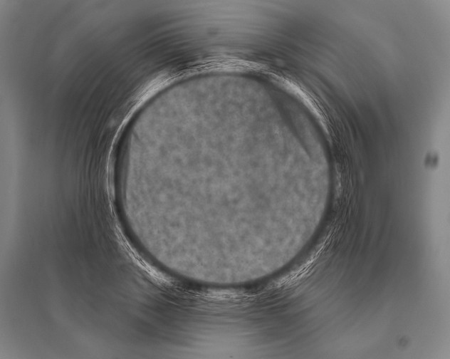 X0000094810843200712141620