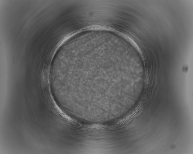 X0000094810847200712141620