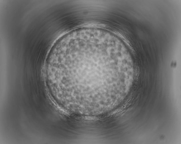 X0000094810848200712141620