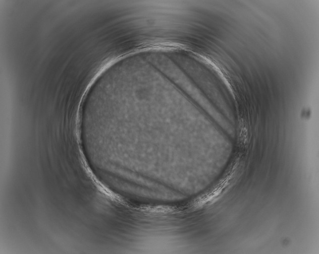 X0000094810851200712141620