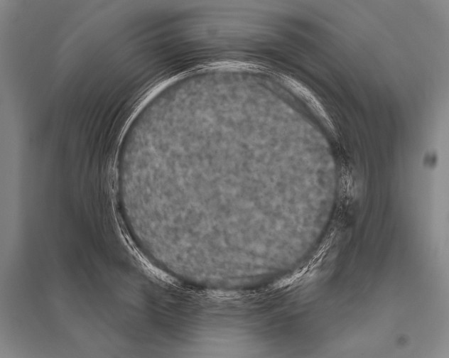 X0000094810852200712141620