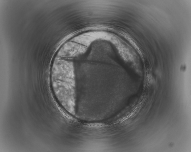 X0000094810853200712141620