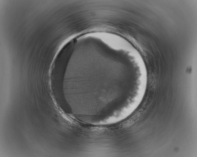 X0000094810854200712141620