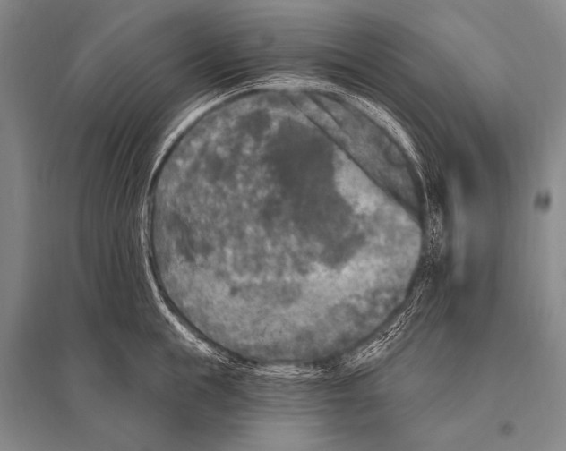 X0000094810855200712141620