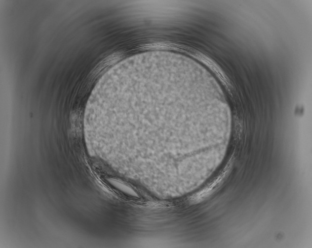 X0000094810857200712141620