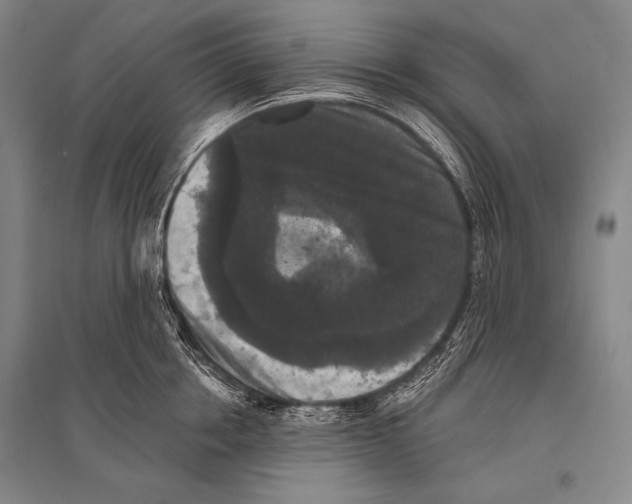 X0000094810858200712141620