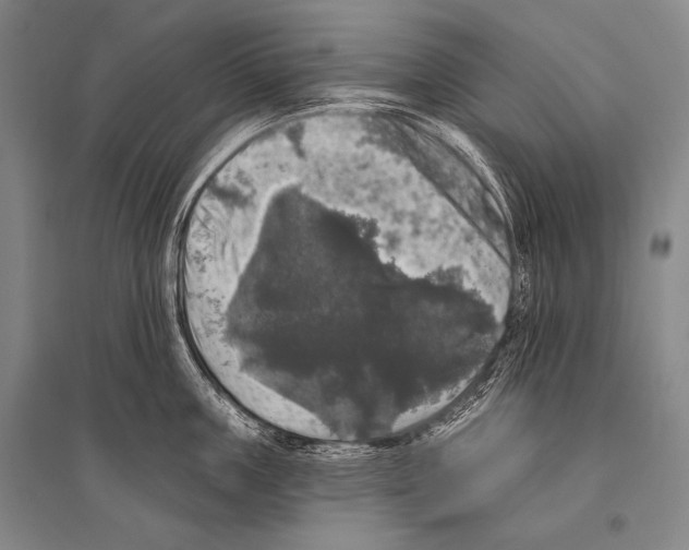 X0000094810859200712141620