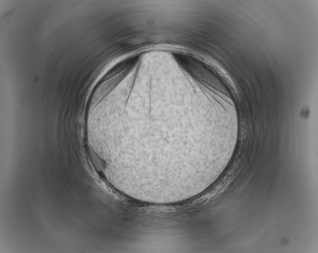 X0000094810860200712141620