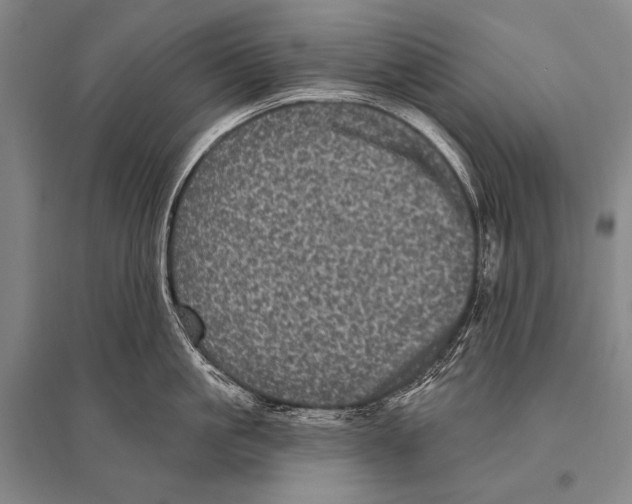 X0000094810861200712141620