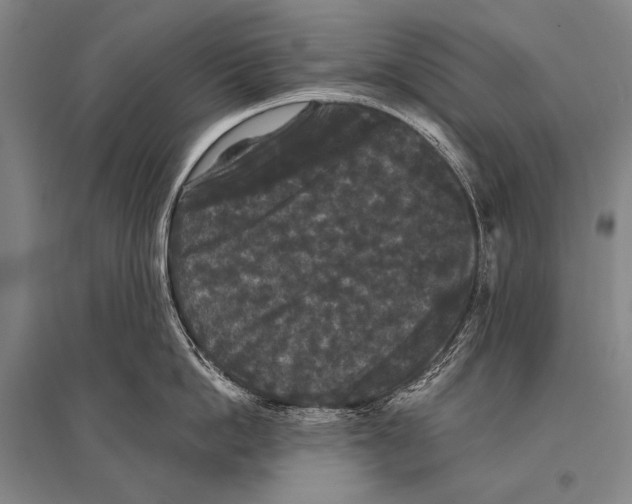 X0000094810862200712141620