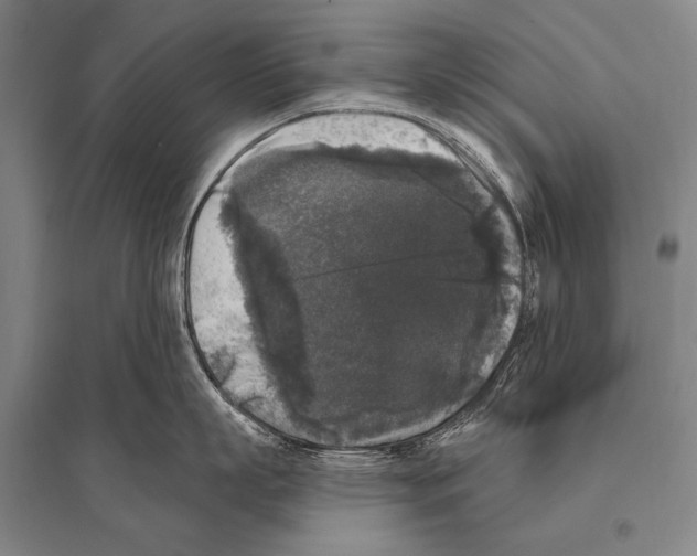 X0000094810863200712141620