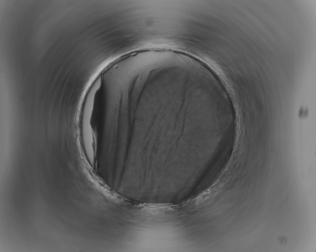 X0000094810864200712141620