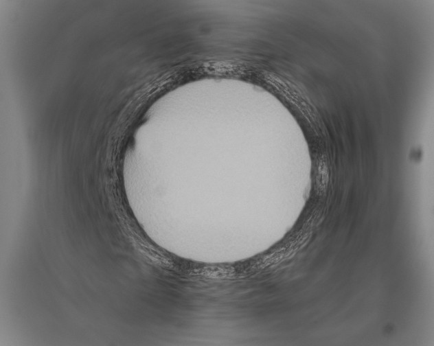 X0000094810865200712141620