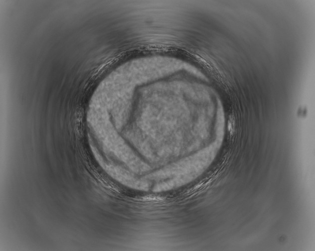 X0000094810867200712141620