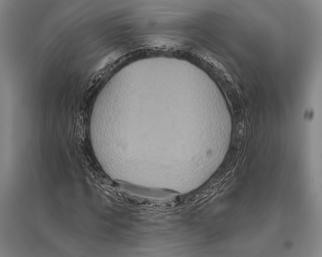 X0000094810869200712141620