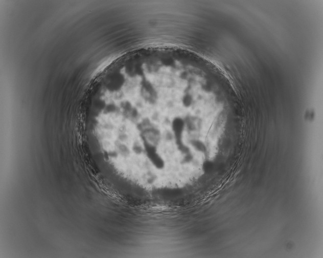 X0000094810871200712141620