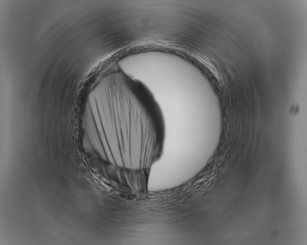 X0000094810872200712141620