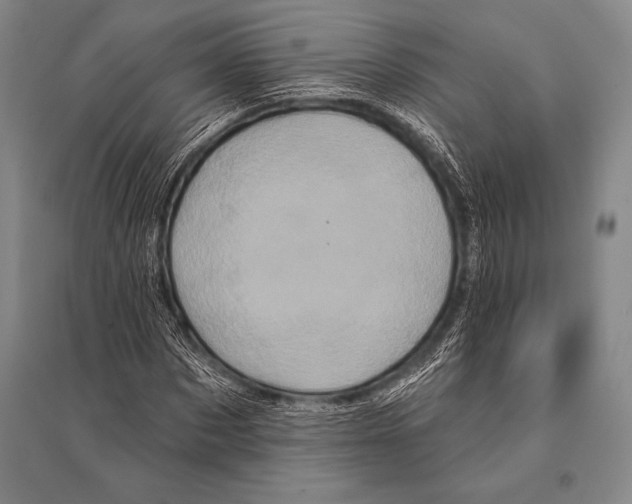 X0000094810873200712141620