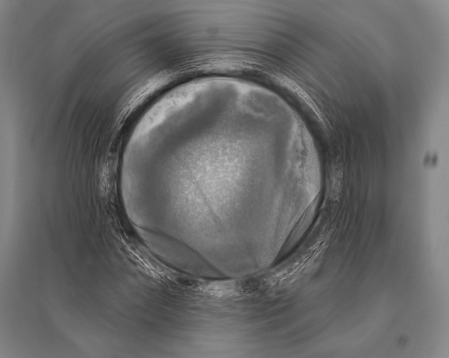 X0000094810874200712141620