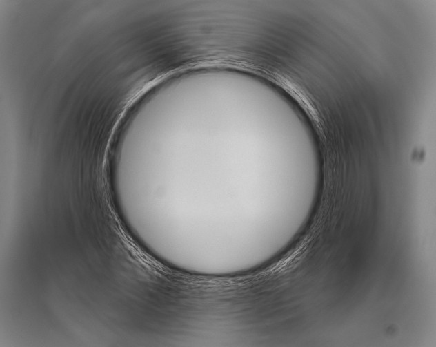 X0000094810876200712141620