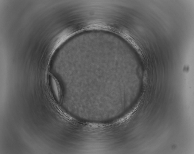 X0000094810877200712141619