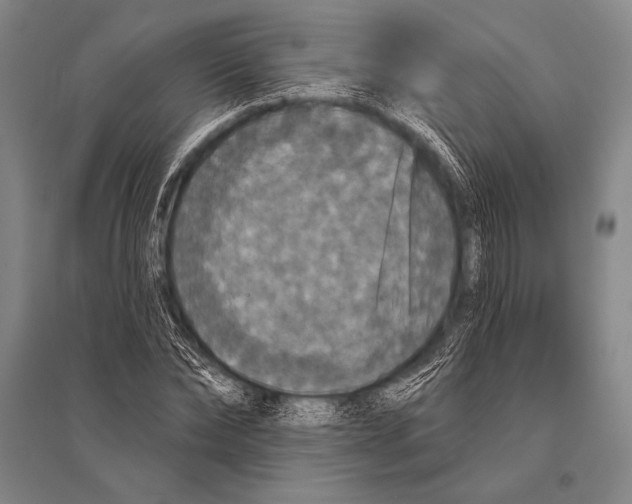 X0000094810878200712141619