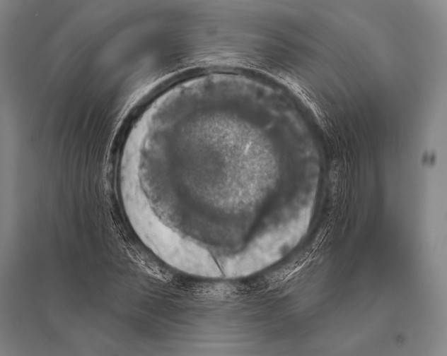 X0000094810879200712141619