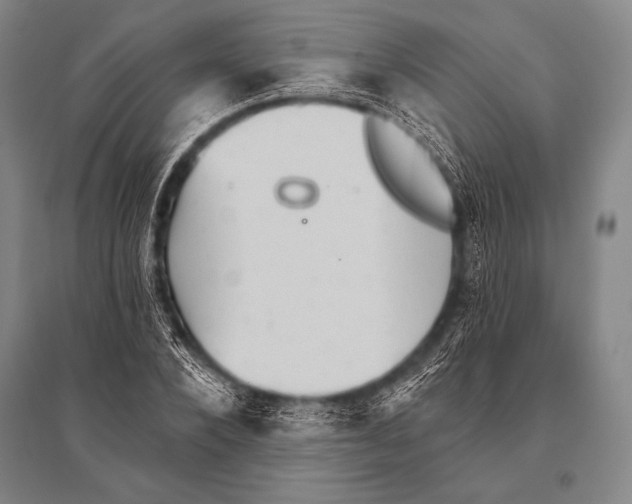 X0000094810880200712141619