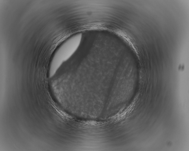 X0000094810881200712141619