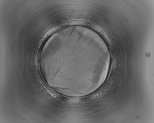 X0000094810882200712141619