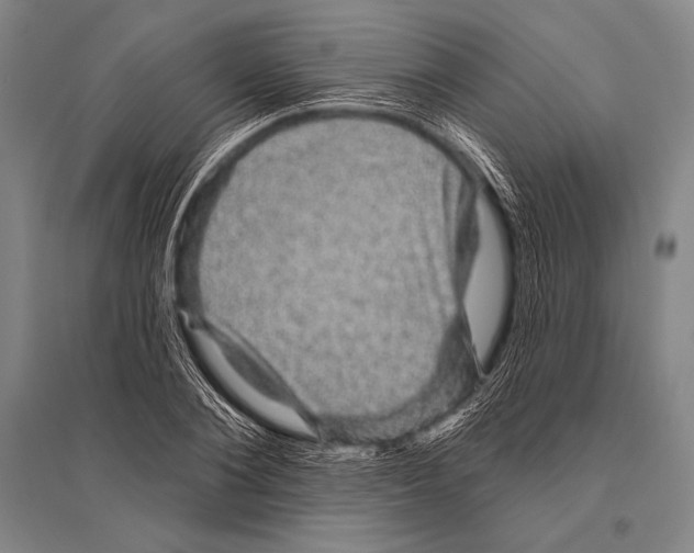 X0000094810884200712141619