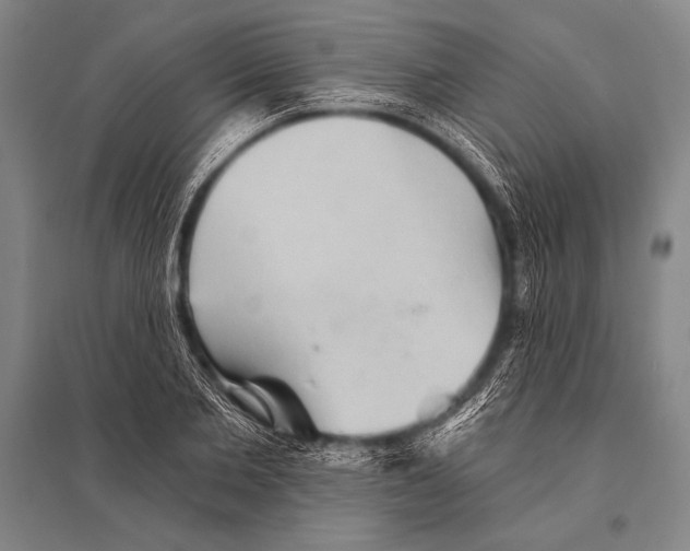 X0000094810885200712141619