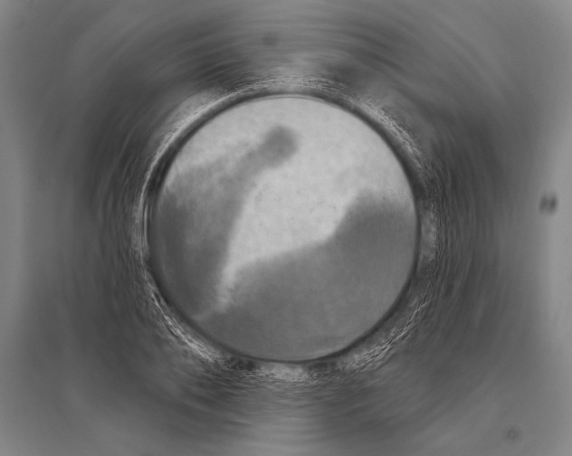 X0000094810886200712141619