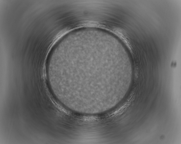 X0000094810887200712141619