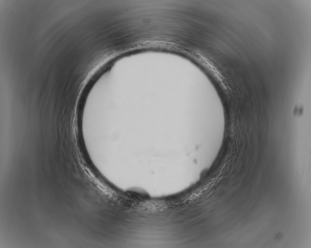 X0000094810888200712141619