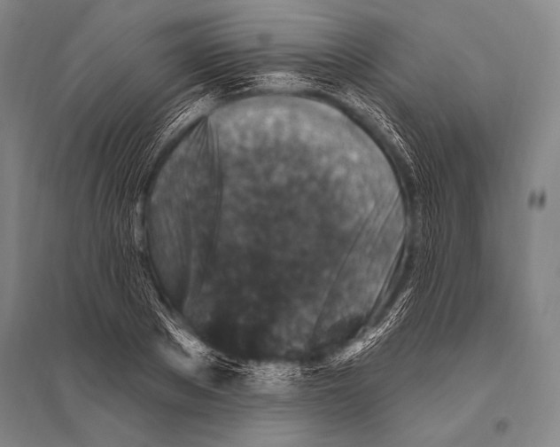 X0000094810889200712141619