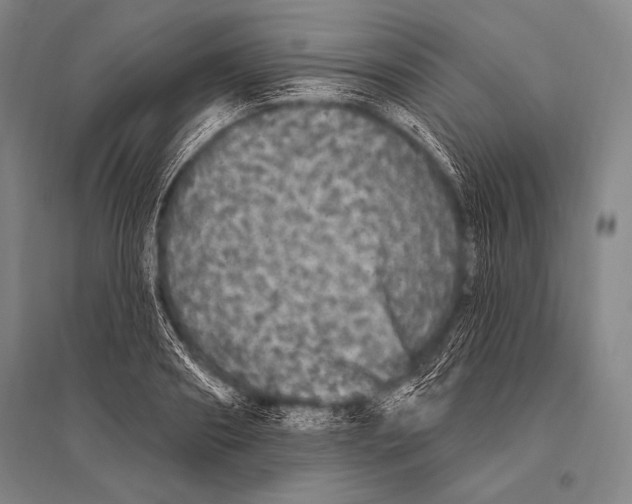 X0000094810890200712141619