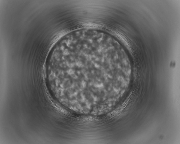 X0000094810891200712141619