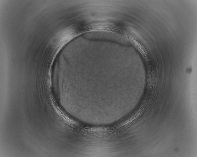 X0000094810892200712141619