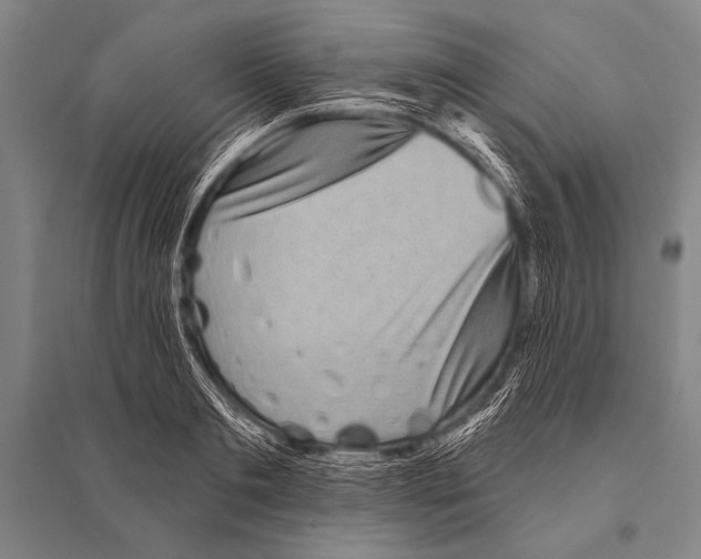 X0000094810893200712141619