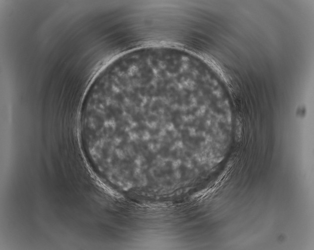 X0000094810895200712141619