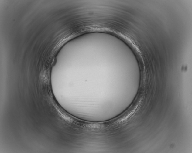 X0000094810897200712141619