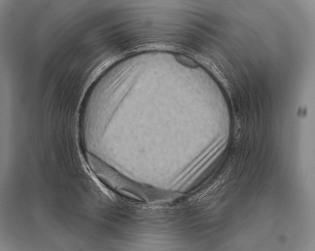 X0000094810898200712141619