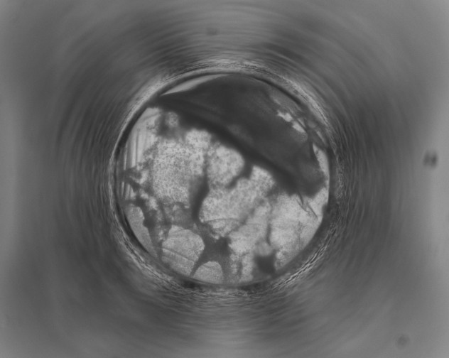 X0000094810899200712141619