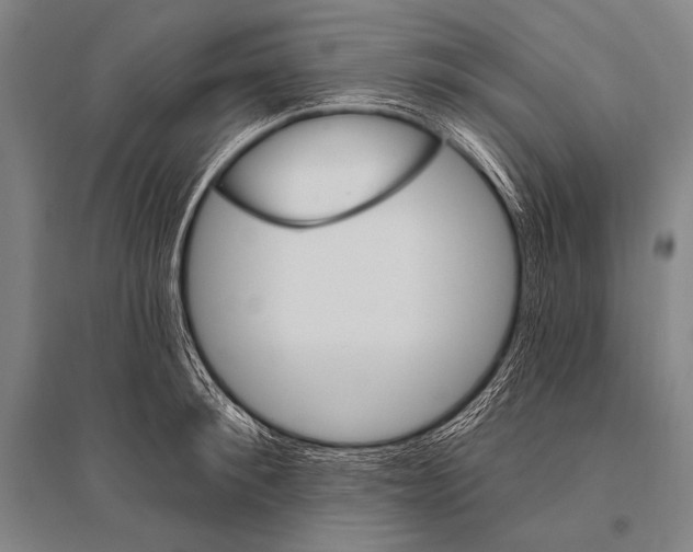 X0000094810900200712141619